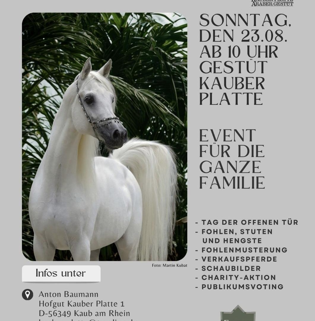 Kauber Platte | © Kauber Platte Kauber Platte | © Kauber Platte