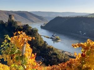 Weingut und Brennerei Hillesheim | © Hillesheim