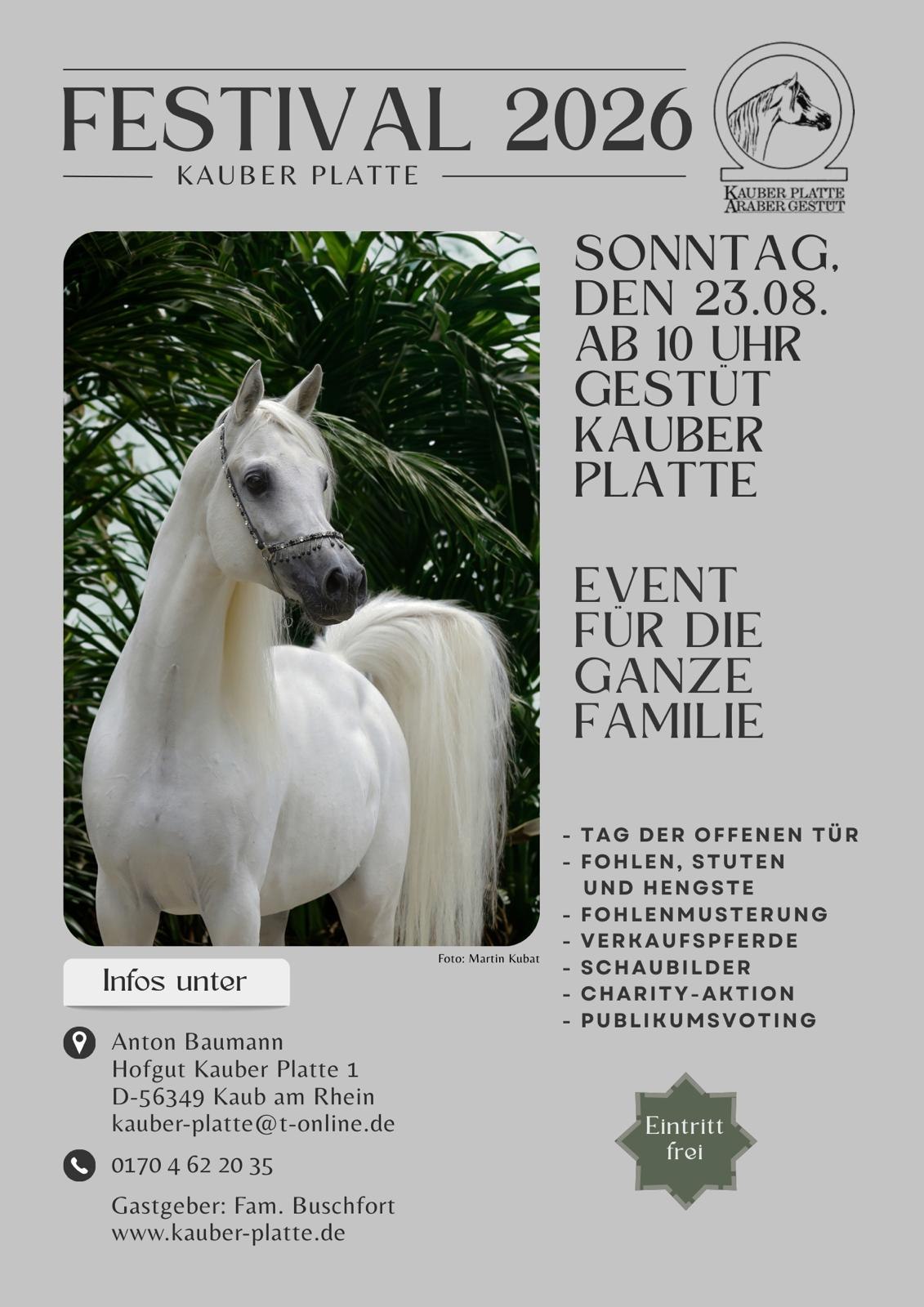 Kauber Platte_Festival 2026 | © Martin Buschfort