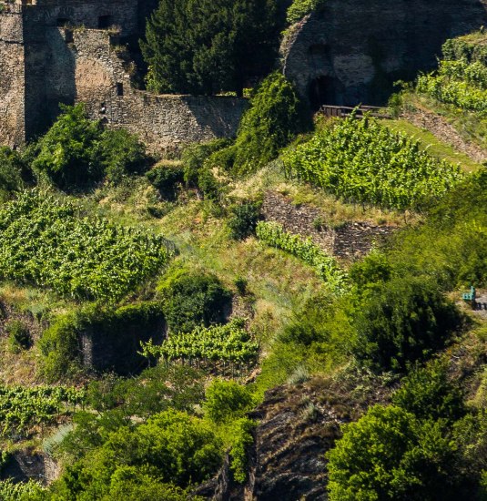 Steillage | © Henry Tornow Steillage | © Henry Tornow