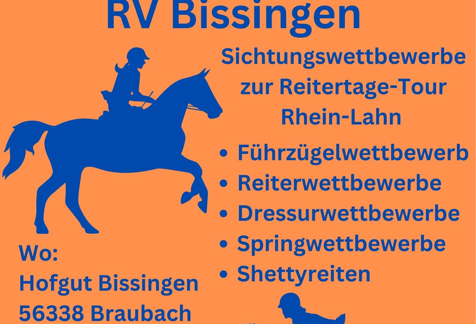 Plakat Reitertag | &copy; Reiterverein Bissingen eV Braubach