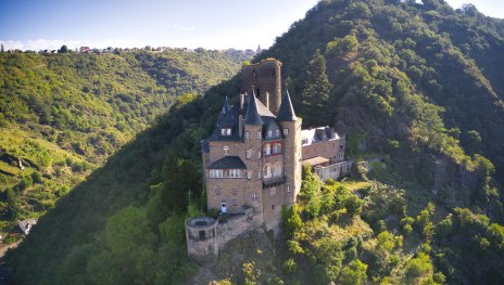 Katz | &copy; Sebastian Reifferscheid