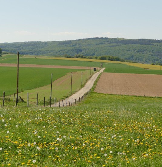 Wanderweg | &copy; Armin Schaust