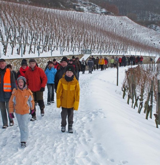 Weinlehrpfad | © Norbert Schmiedel