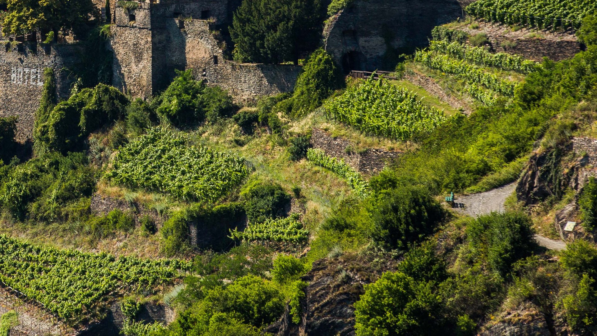 Steillage | &copy; Henry Tornow